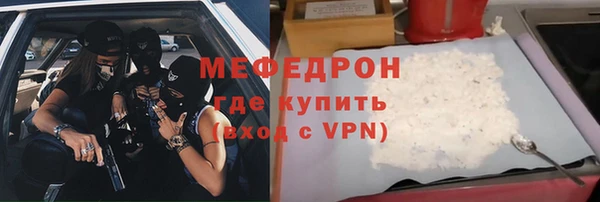 шишки Няндома