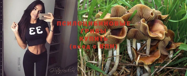 PSILOCYBIN Нягань