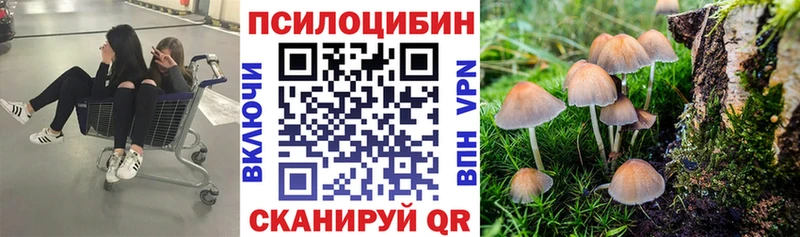 наркошоп  kraken рабочий сайт  Псилоцибиновые грибы MAGIC MUSHROOMS  Ступино 
