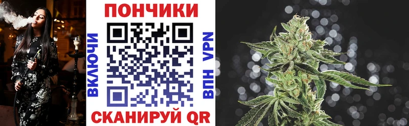 мега вход  где купить наркоту  Ступино  Канабис ГИДРОПОН 
